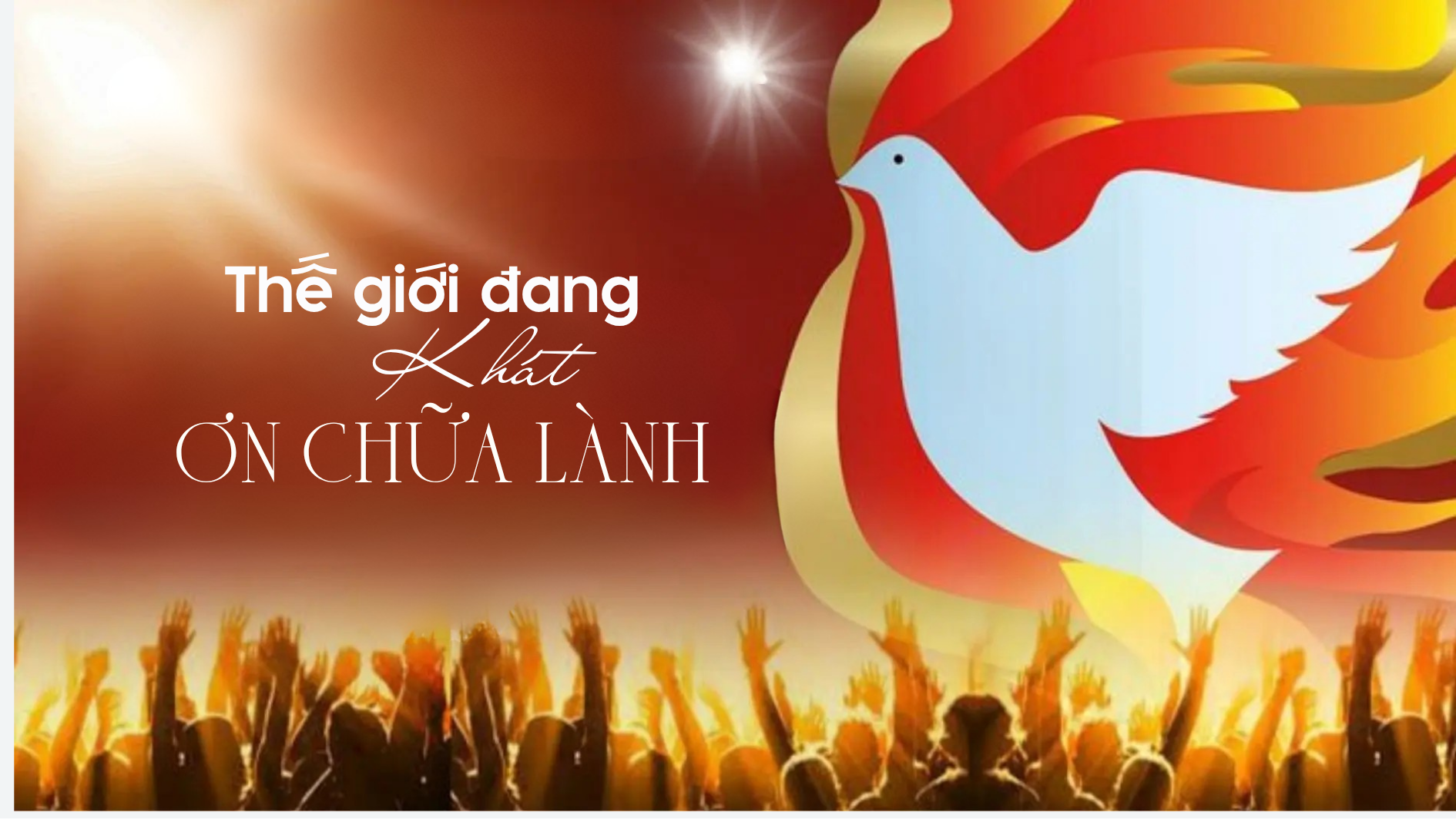 Thế giới đang "khát" ơn chữa lành